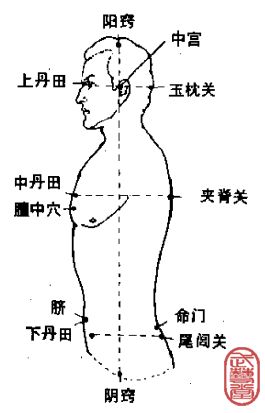 男性按摩下丹田可以保精、养精